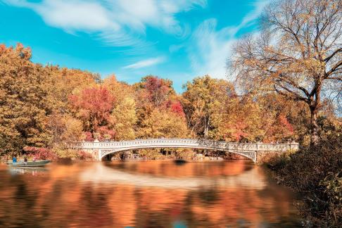 Bow Bridge in Falls 2331