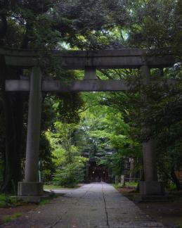 A Shrine in The Rain