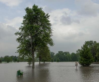 Flooded Golf Course