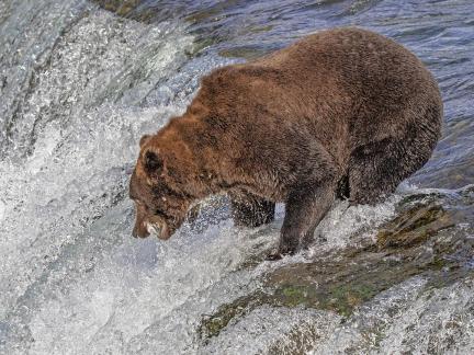 Fishing on the Edge