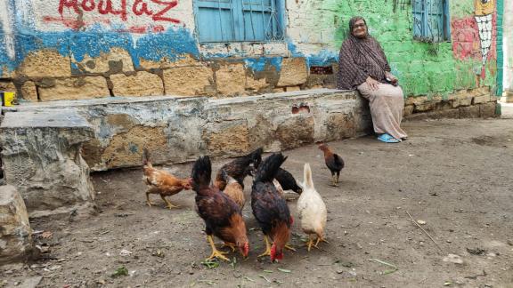 Lady and chickens