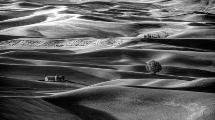 Palouse 16