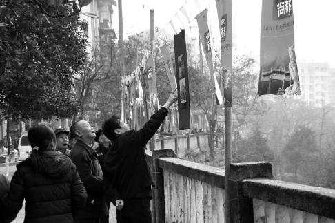 sheyingzhanl5