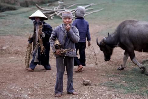 Children at work