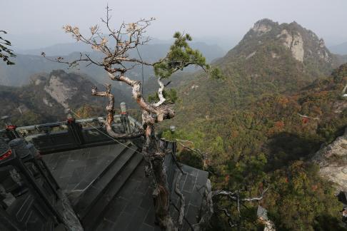 Mountain landscape 29