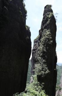 Green between cliffs 11