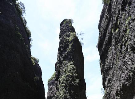 Green between cliffs 12