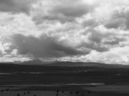 Yunmu Green Field 24