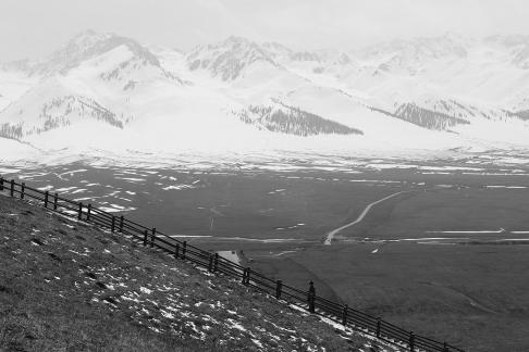 Snowy Ridge Pine Plains 9