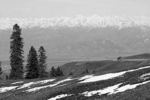 Snowy Ridge Pine Plains 12