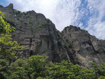 Green Wilderness and Tranquility 16