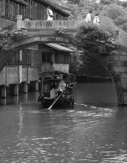 The sound of rowing in Jiangnan 8
