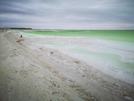 Green Salt Lake 4