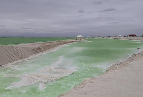 Green Salt Lake 11
