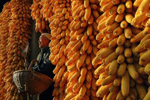 The joy of harvest 2