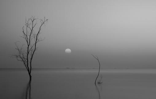 a tranquil lake surface