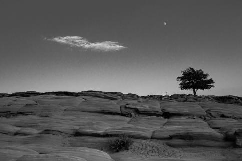 Above the Wave Valley