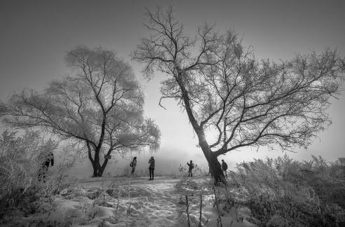 enjoy the snow scene