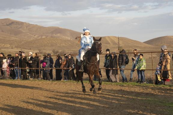 Equestrian performance