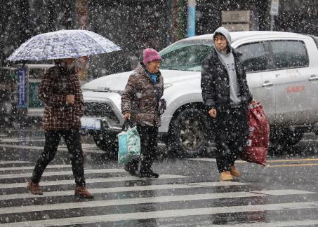 Snowflakes Dancing in the World 10