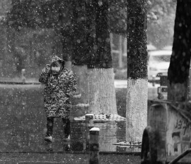 Snowflakes Dancing in the World 13