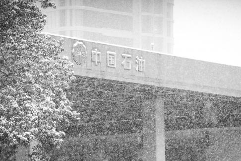 Snowflakes Dancing in the World 14