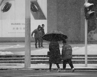 Snowflakes Dancing in the World 15
