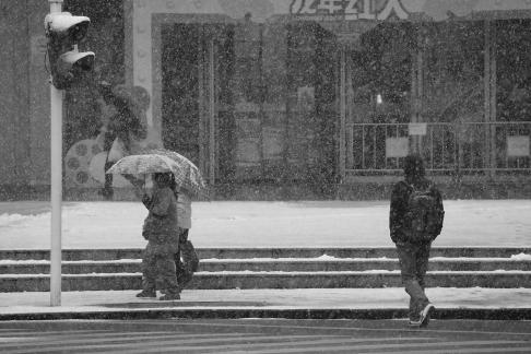 Snowflakes Dancing in the World 16
