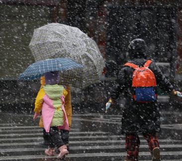 Snowflakes Dancing in the World 4