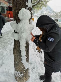 Snowy scenery 11