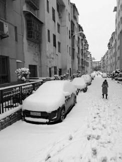 Snowy scenery 14