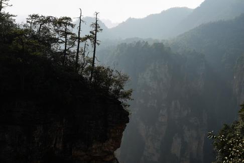 peak sequence 11