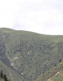 Green Mountain 7