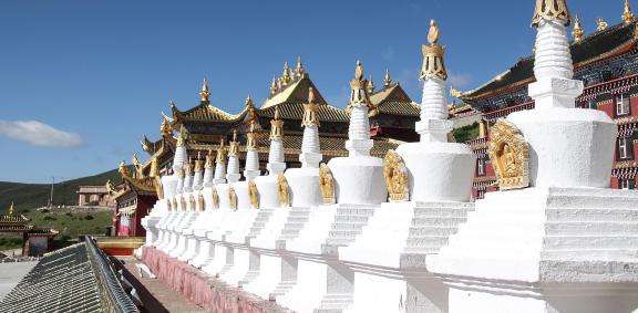 Human Buddhist Kingdom 5