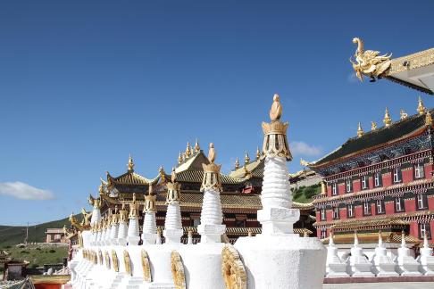 Human Buddhist Kingdom 6
