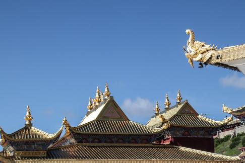 Human Buddhist Kingdom 9
