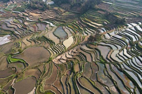Terraced fields scenery 38