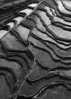 Terraced fields scenery 33