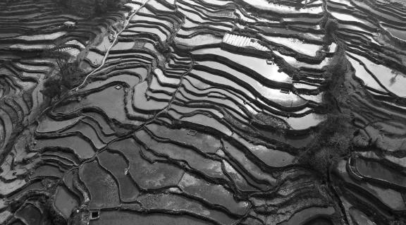 Terraced fields scenery 35