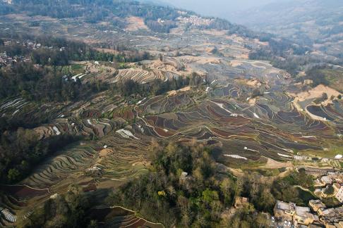 Terraced fields scenery 45