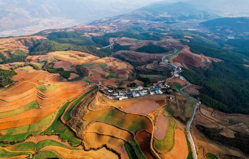 Green Valley Golden Steps 17