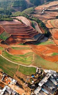 Green Valley Golden Steps 21