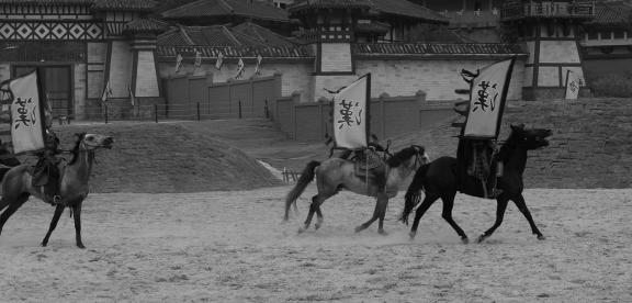 Equestrian performance 22