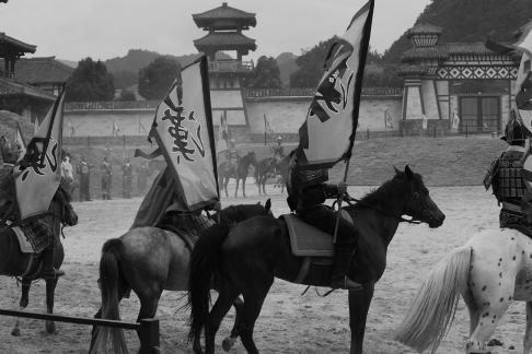 Equestrian performance 23