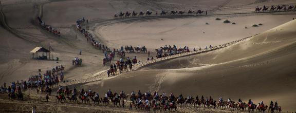 Desert Journey 15