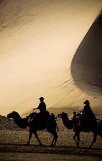 Desert Journey 16