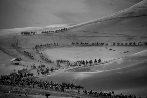 Desert Journey 11