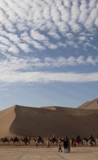 Desert Journey 5