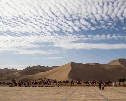 Desert Journey 6