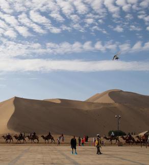 Desert Journey 7